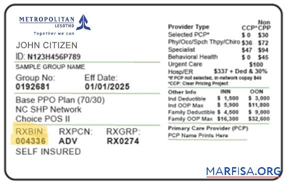 Downloadable Lesotho health insurance card real example